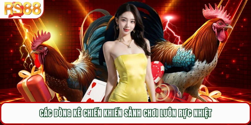 Các dòng kê chiến khiến sảnh chơi luôn rực nhiệt 