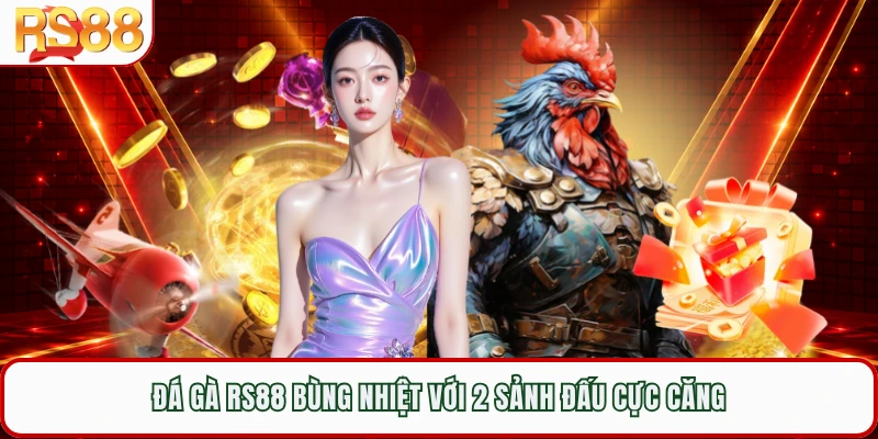 Đá gà RS88 bùng nhiệt với 2 sảnh đấu cực căng 